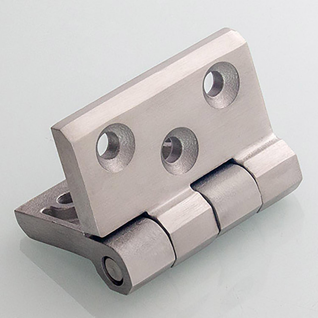 Buy Hinge 20042189 Essentra Components