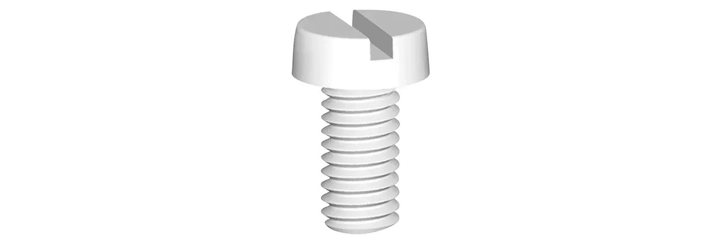 Cheese Head Screws