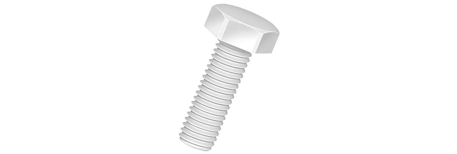 Hex Head Screw