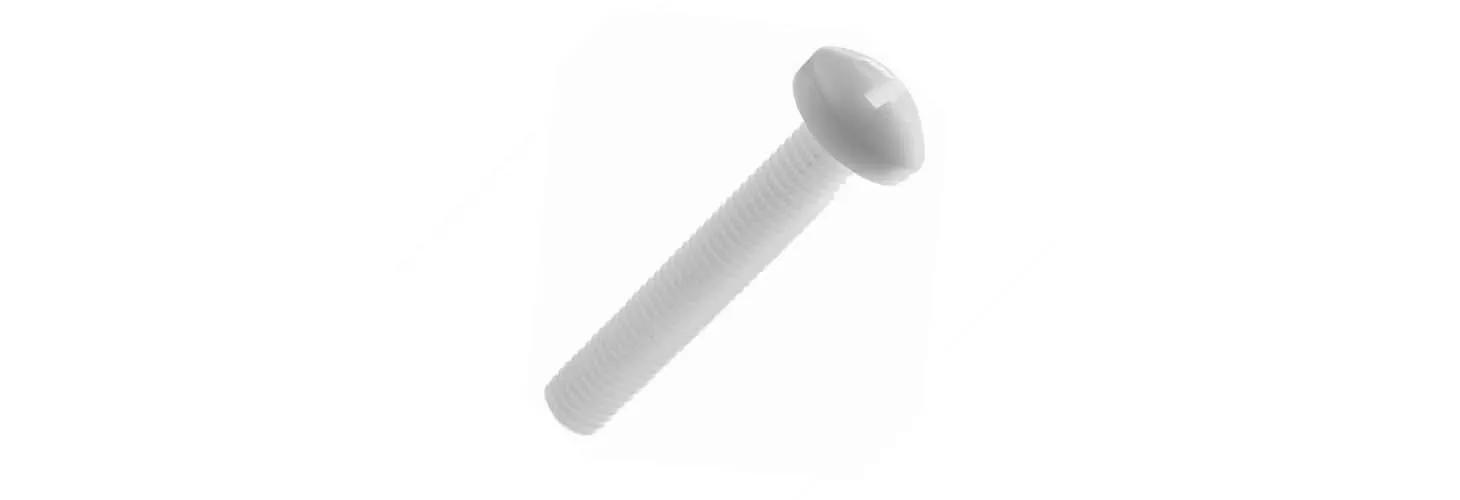 Fillister head screw