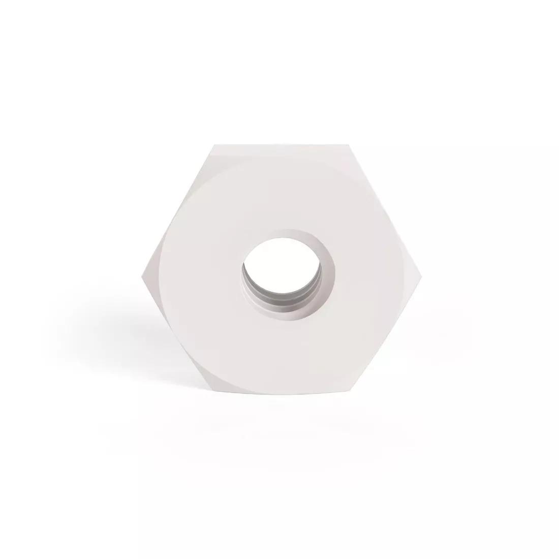 Hexagonal Lock Nut