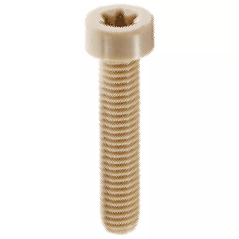 Socket Head Cap Screws - Plastic Torx Head