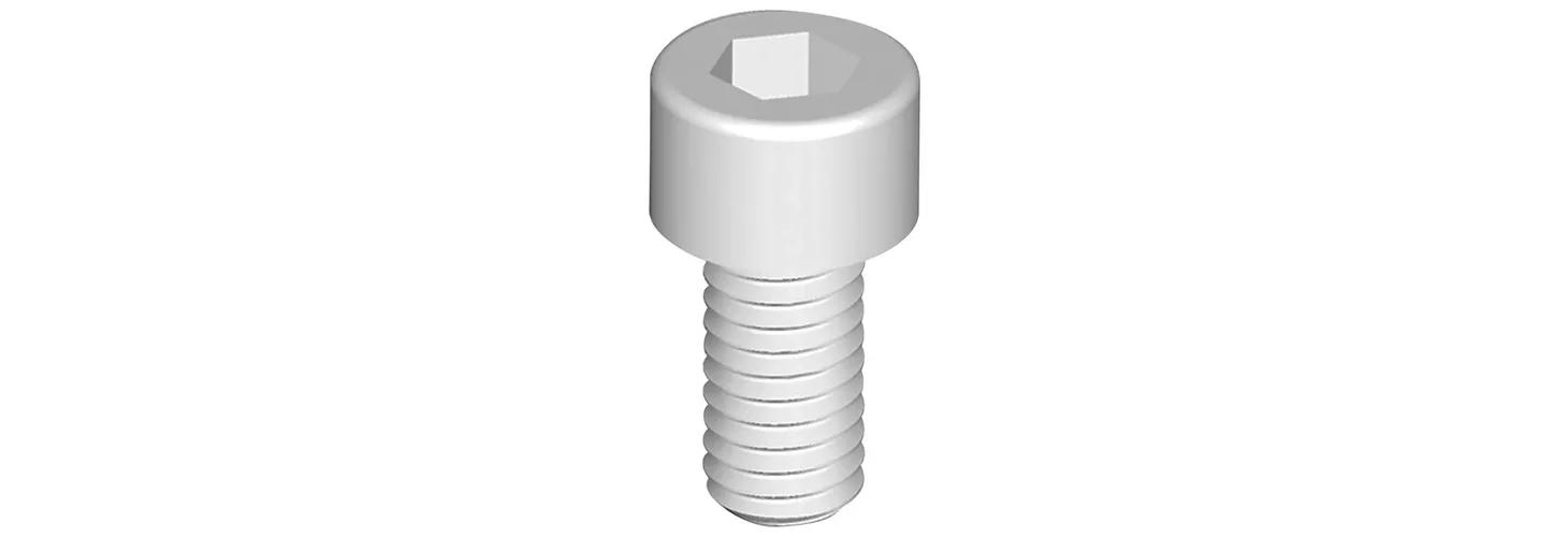 Socket head cap screws – Plastic Standard Head