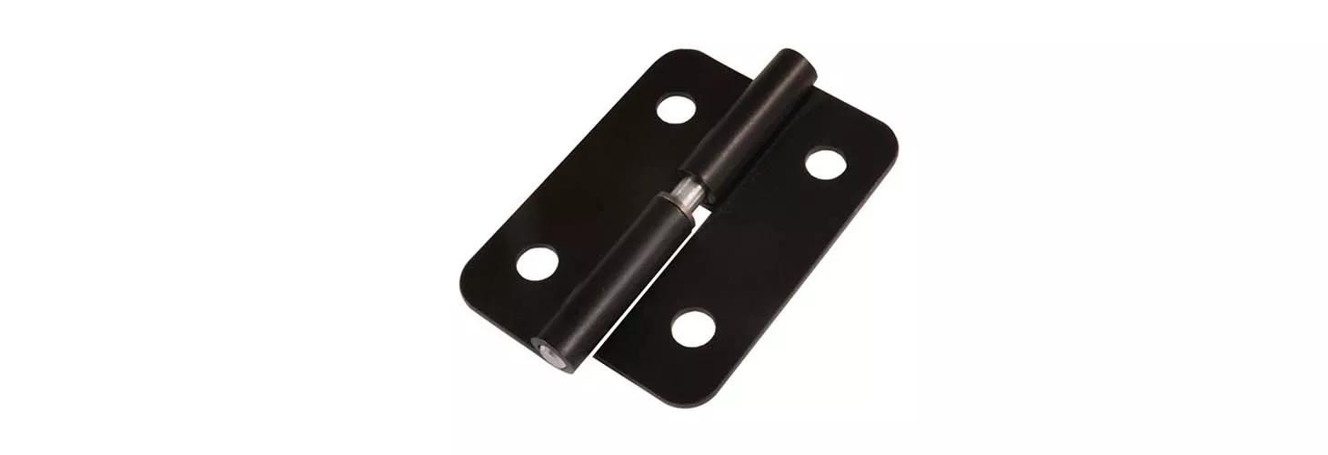 Lift-off screw-mount hinge