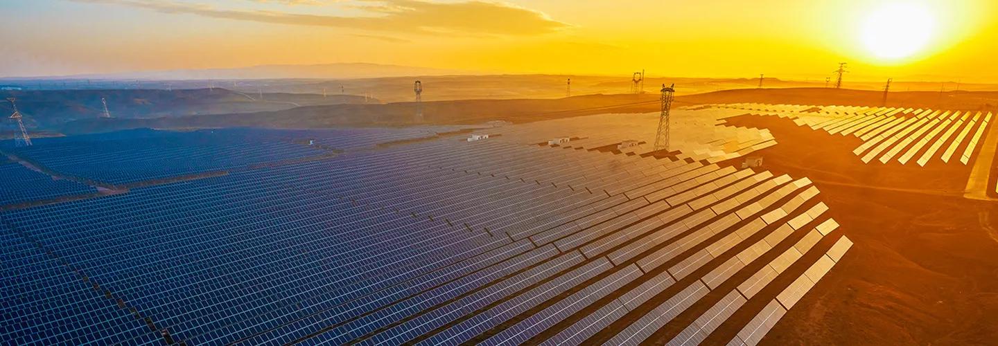 Solar farm at sunset 