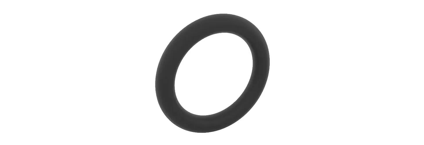 Ring Seals