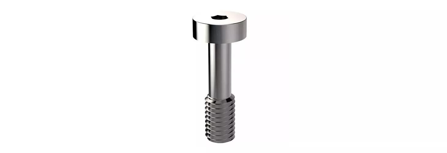 Cheese Head Captive Screws