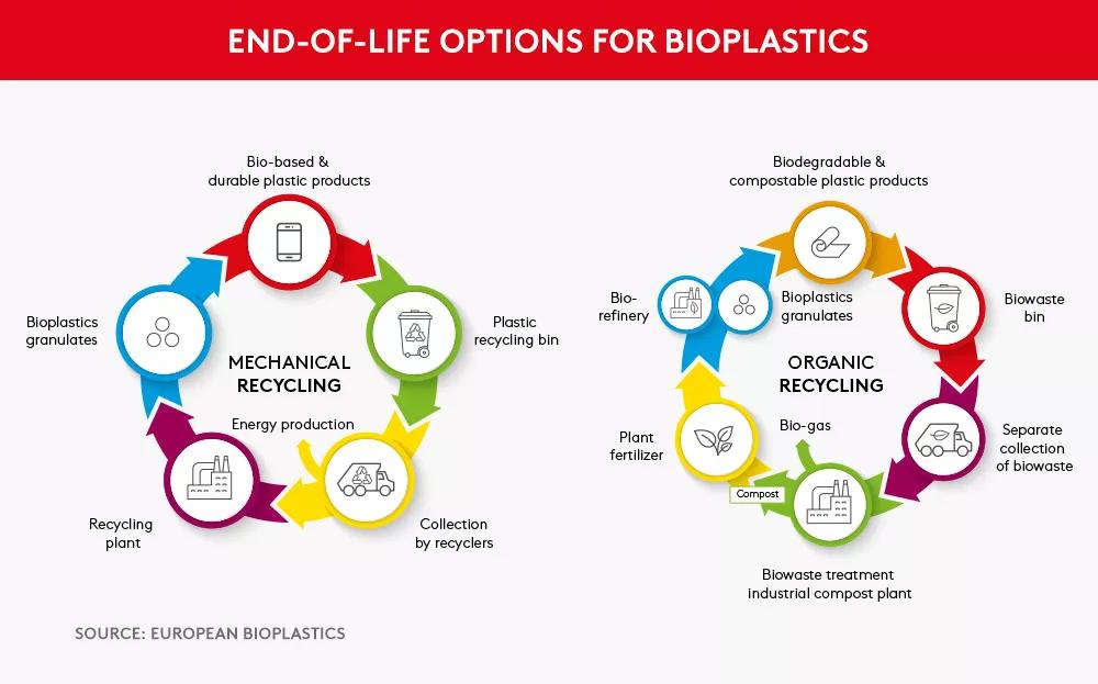 Diagramm, das zwei verschiedene Optionen zur Entsorgung von Biokunststoffen beschreib