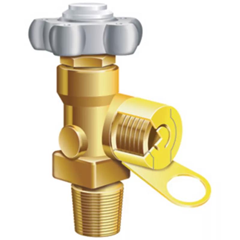 Gas Cylinder Valve Caps - 110586