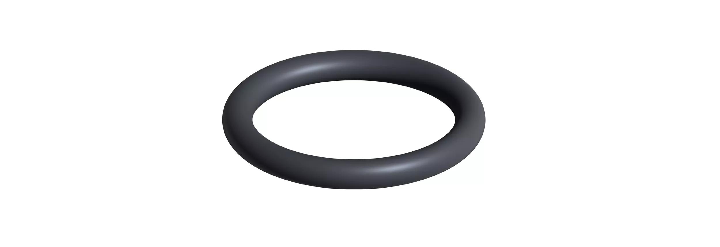 O ring seal