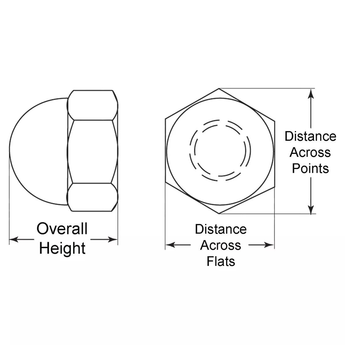 Dome Nuts - Line Drawing