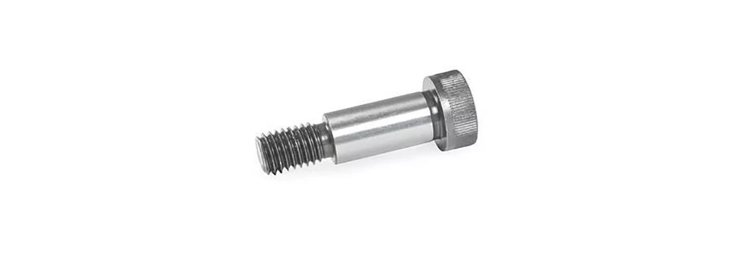 What Are the Different Types of Screw?