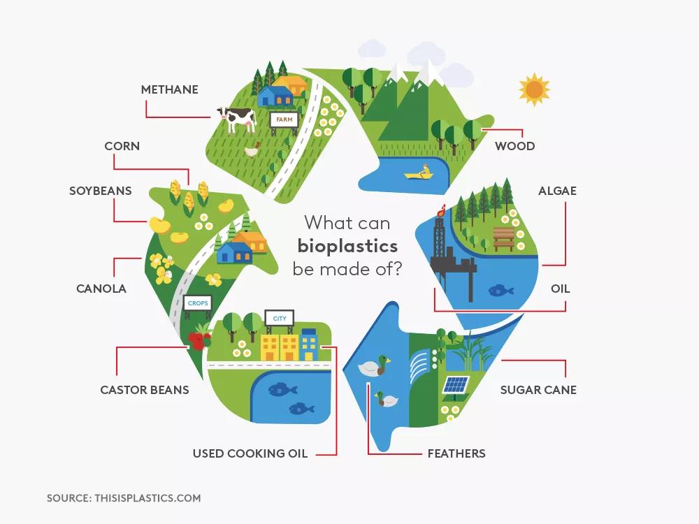 Diagram that shows what bioplastics can be made of