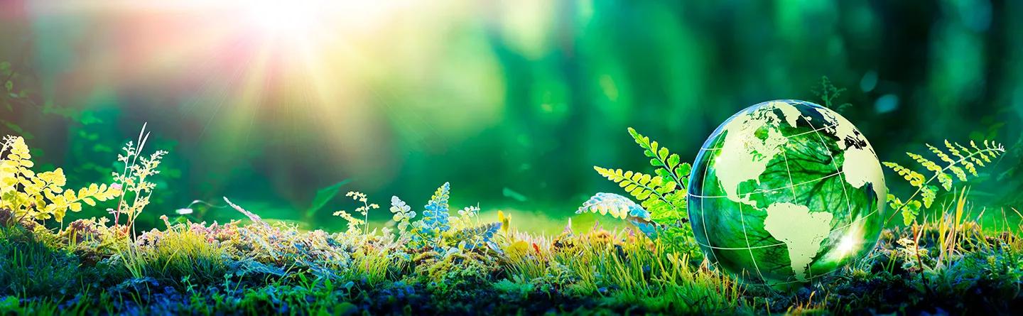 A small globe in a grassy glade