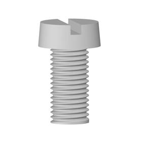 Machine Screws - Cheese