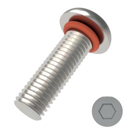 Button Head Seal Screws