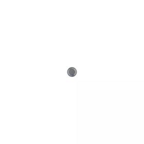 AMS-219_Right Rendering