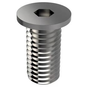 Cap Screws - Extra Low Head