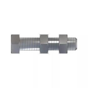 TC-205943_Top Rendering