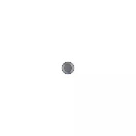 AMS-449_Right Rendering