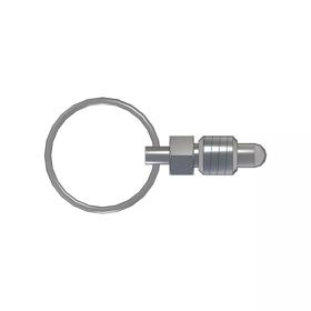 PRSN-10_Top Rendering