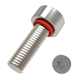 Cap Head Seal Screws