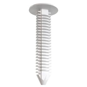 Push-in Rivets